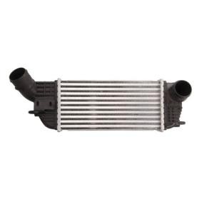 Köp Intercooler av THERMOTEC DAP005TT till det låga priset 960,51 kr