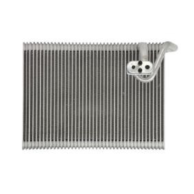 Köp Förångare till AC av THERMOTEC KTT150046 till det låga priset 1064,06 kr