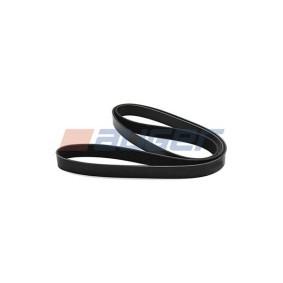 Achetez des Courroie Poly-V AUGER 80099 à prix pour 29,52 €