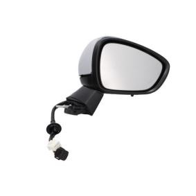Acquista Specchietto retrovisore esterno da BLIC 5402-21-042366P a buon mercato per soli 253,88 €