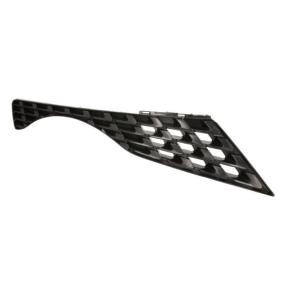 Kühlergrill 6502-07-1601996P