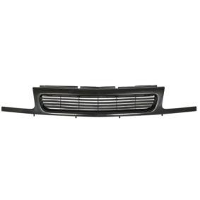 Kühlergrill 6502-07-5021991P