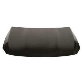 Motorhaube 6803-00-3583280AP