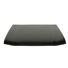 Motorhaube 6803-00-8136280P