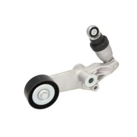 Acquista Tenditore cinghia servizi da BTA E32008BTA a buon mercato per soli 64,44 €