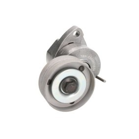 Achetez des Poulie roue libre, alternateur BTA E4Y005BTA à prix pour 24,04 €