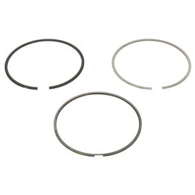 Compre Segmentos de pistón de NE online para B7 (F01, F02) a precios moderados