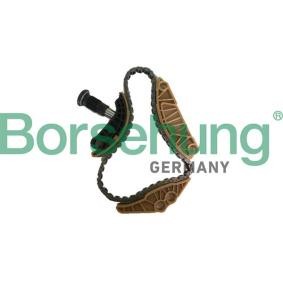 Steuerkettensatz von Borsehung