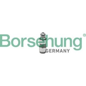 Hydrostößel B18828 VOLKSWAGEN CC von Borsehung