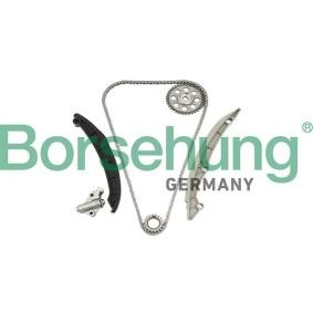 VOLKSWAGEN Steuerkettensatz von Borsehung