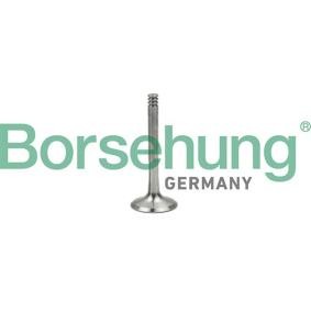 Compre Válvula de escape de Borsehung online para Multivan T5 (7HM, 7HN, 7HF, 7EF, 7EM, 7EN) a precios moderados