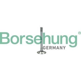 Auslaßventil B18999