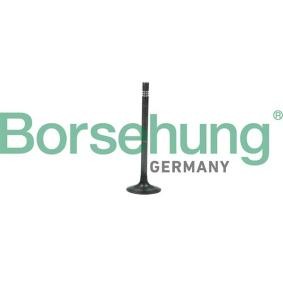 Auslassventil B19006 SKODA SCALA von Borsehung