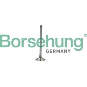 Compre Válvula de escape de Borsehung online para Caddy Alltrack IV Kombi (SAB) a precios moderados