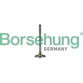 Compre Válvula de admisión de Borsehung online para Octavia III Combi (5E5) a precios moderados