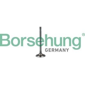 Einlassventil B19023 VOLKSWAGEN T-ROC von Borsehung