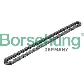 VOLKSWAGEN Steuerkette von Borsehung