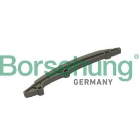 Gleitschiene, Steuerkette von Borsehung B1G021