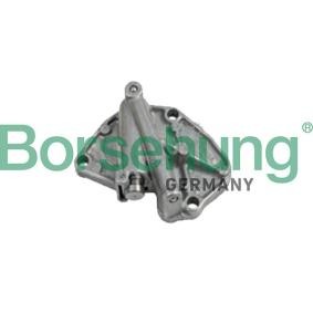 Compre Tensor de cadena de distribución de Borsehung online para Fabia I Praktik (6Y5) a precios moderados