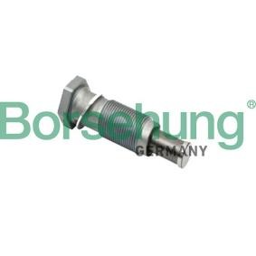 Comprar Tensor de cadena de distribución de Borsehung B1T002 a bajo precio de 31,69 €