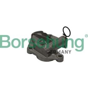 Comprar Tensor de cadena de distribución de Borsehung B1T003 a bajo precio de 34,83 €
