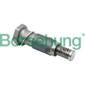 Comprar Tensor de cadena de distribución de Borsehung B1T012 a bajo precio de 20,30 €