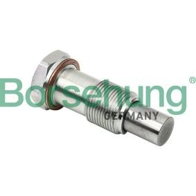 Comprar Tensor de cadena de distribución de Borsehung B1T014 a bajo precio de 22,90 €