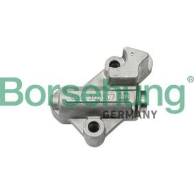 Comprar Tensor de cadena de distribución de Borsehung B1T017 a bajo precio de 32,64 €