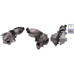 Kjøp Turbolader av TURBO MOTOR PA54309700000 til den lave prisen 8968,10 NOK