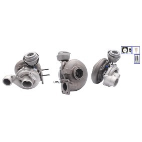 Turbolader PA7506392 von TURBO MOTOR günstig für 704,31 € online kaufen