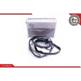 Compre Sensor, temperatura dos gases de escape da ESEN SKV 30SKV123 a um preço baixo por 80,35 €
