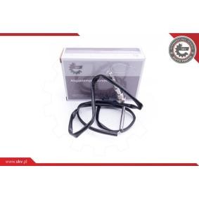 Comprar Sensor, temp. gas escape de ESEN SKV 30SKV134 a bajo precio de 71,43 €