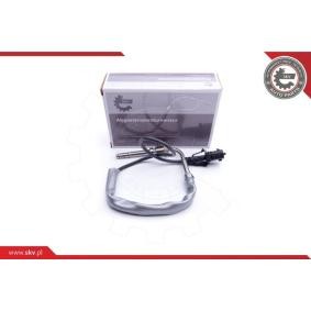 Compre Sensor, temperatura dos gases de escape da ESEN SKV 30SKV190 a um preço baixo por 74,83 €