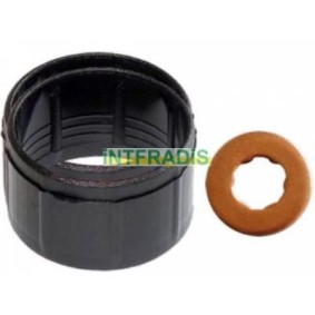 Compre Jogo de juntas, injectores da INTFRADIS 10127 a um preço baixo por 4,41 €