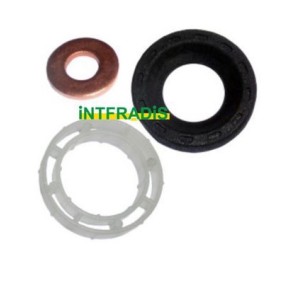 Compre Jogo de juntas, injectores da INTFRADIS 10199 a um preço baixo por 10,73 €