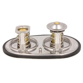 Thermostat des Herstellers LEMA - Originalware Artikelnummer: 425387