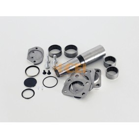 Achetez des Kit d'assemblage, pivot de fusée d'essieu CEI 230.066 à prix pour 146,15 €