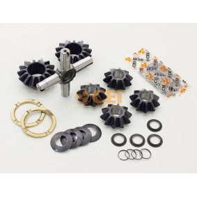Acquista Kit riparazione, Differenziale da CEI 198.909 a buon mercato per soli 205,17 €