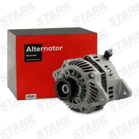 Lichtmaschine SKGN-0320296