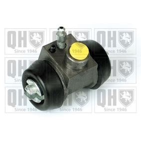 Comprar Cilindro de freno de rueda de QUINTON HAZELL BWC3095 a bajo precio de 31,07 €