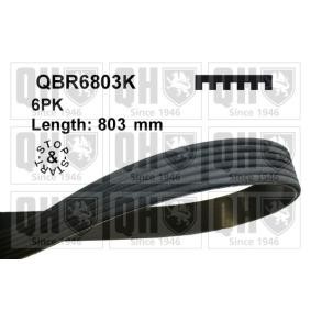 Keilrippenriemen QBR6803K für SMART