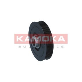 Achetez des Poulie damper (vilebrequin) KAMOKA RW002 à prix pour 64,67 €