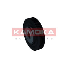 Achetez des Poulie damper (vilebrequin) KAMOKA RW022 à prix pour 72,04 €