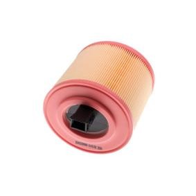 Luftfilter A142100