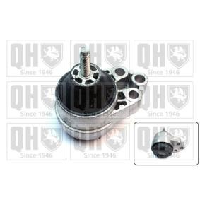 Acquista Supporto motore da QUINTON HAZELL EM4166 a buon mercato per soli 129,96 €