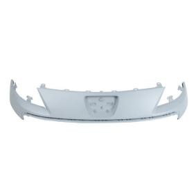 Kühlergrill 6502-07-5562990Q