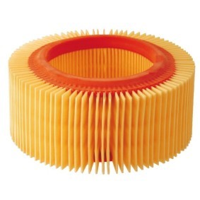 Luftfilter 10 060 0620