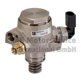 Achetez des Pompe à injection PIERBURG 7.06032.25.0 à prix pour 368,85 €
