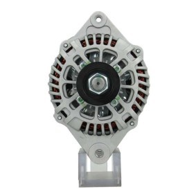 Lichtmaschine 255.502.070.000