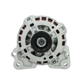 Lichtmaschine 305.931.090.010